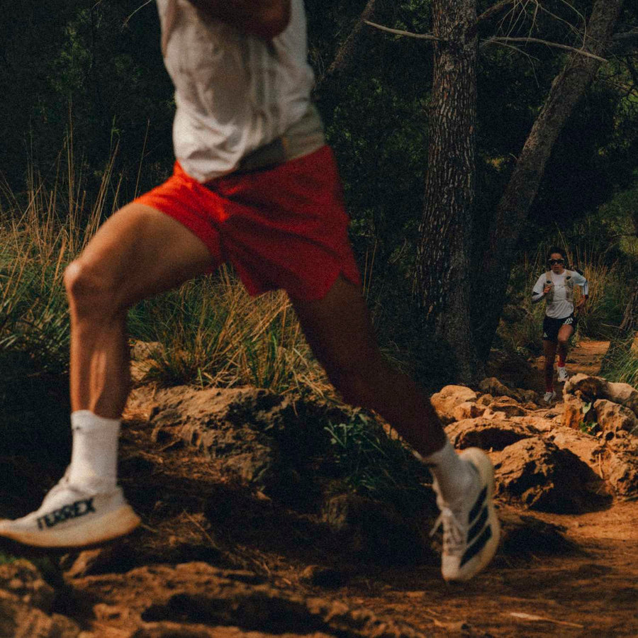 adidas Terrex Agravic SL Review — The Bouncy "Jack of All Trades" Trail Shoe