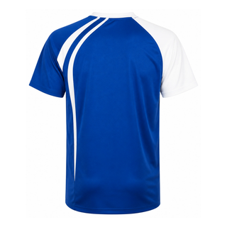 ASICS Mens Short Sleeve Fan T-Shirt